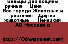 Вальцы для вощины ручные  › Цена ­ 10 000 - Все города Животные и растения » Другие животные   . Ненецкий АО,Носовая д.